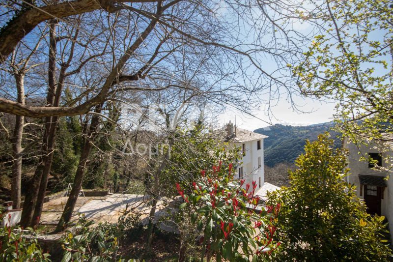 HouseFor Sale, Tsagkarada, Mouresi, Magnesia