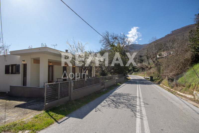HouseFor Sale, Tsagkarada, Mouresi, Magnesia