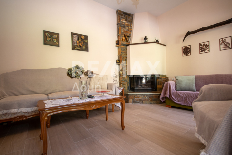 HouseFor Sale, Tsagkarada, Mouresi, Magnesia