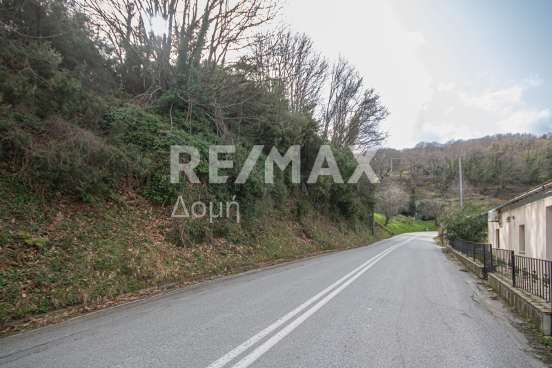 HouseFor Sale, Agios Dimitrios, Mouresi, Magnesia