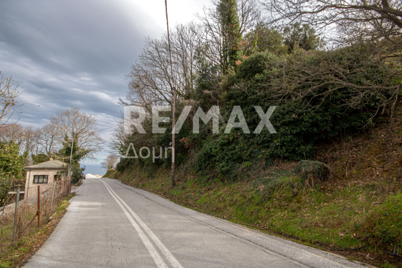 HouseFor Sale, Agios Dimitrios, Mouresi, Magnesia