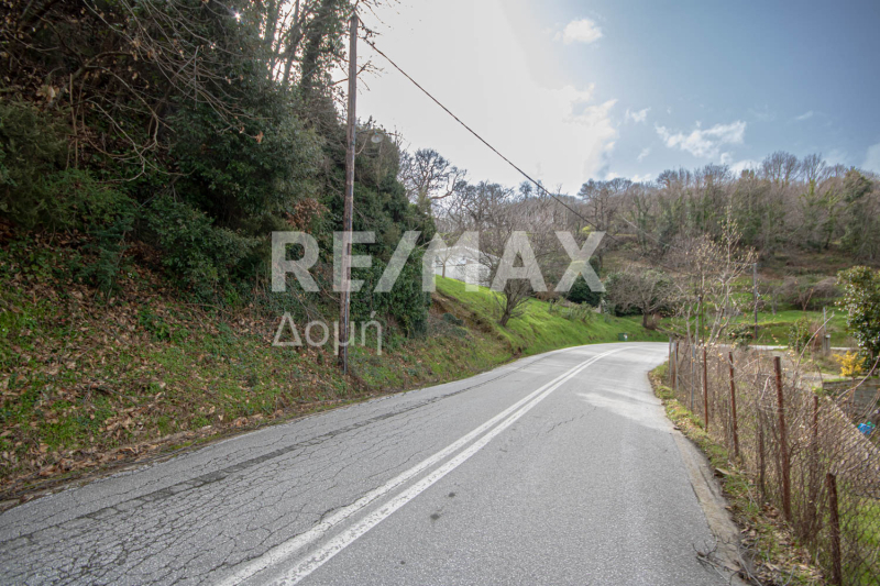 HouseFor Sale, Agios Dimitrios, Mouresi, Magnesia