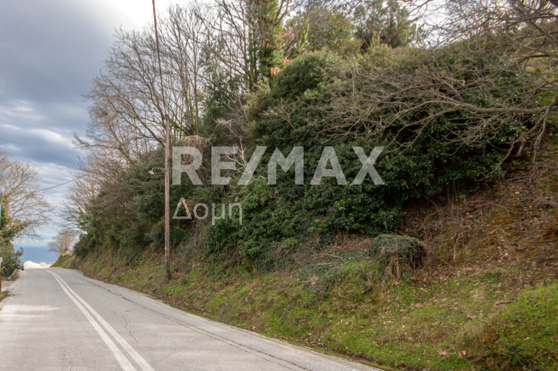 HouseFor Sale, Agios Dimitrios, Mouresi, Magnesia