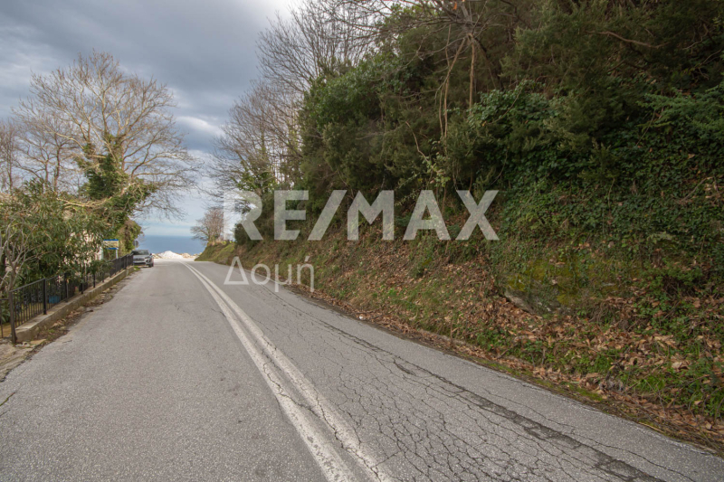 HouseFor Sale, Agios Dimitrios, Mouresi, Magnesia