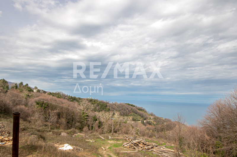 HouseFor Sale, Agios Dimitrios, Mouresi, Magnesia