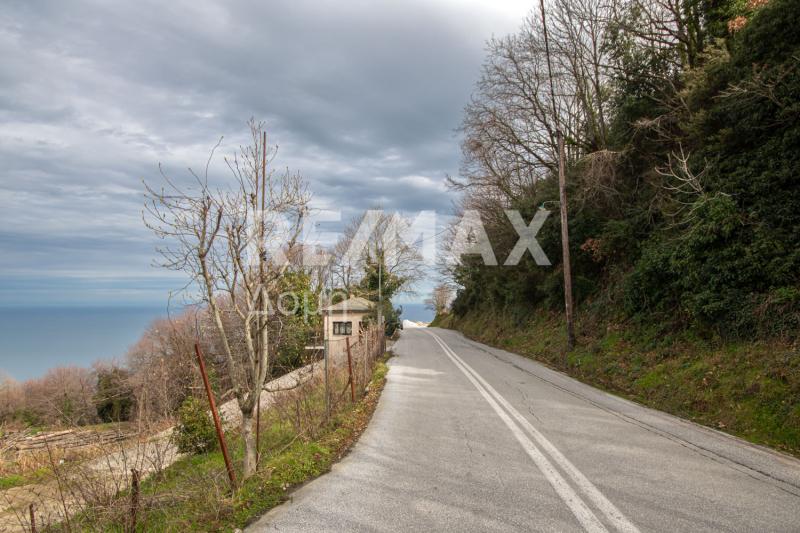 HouseFor Sale, Agios Dimitrios, Mouresi, Magnesia