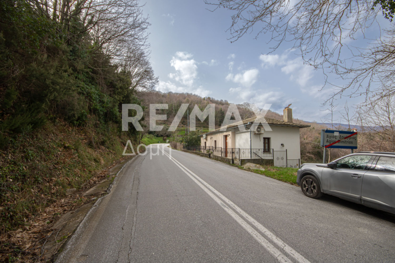 HouseFor Sale, Agios Dimitrios, Mouresi, Magnesia