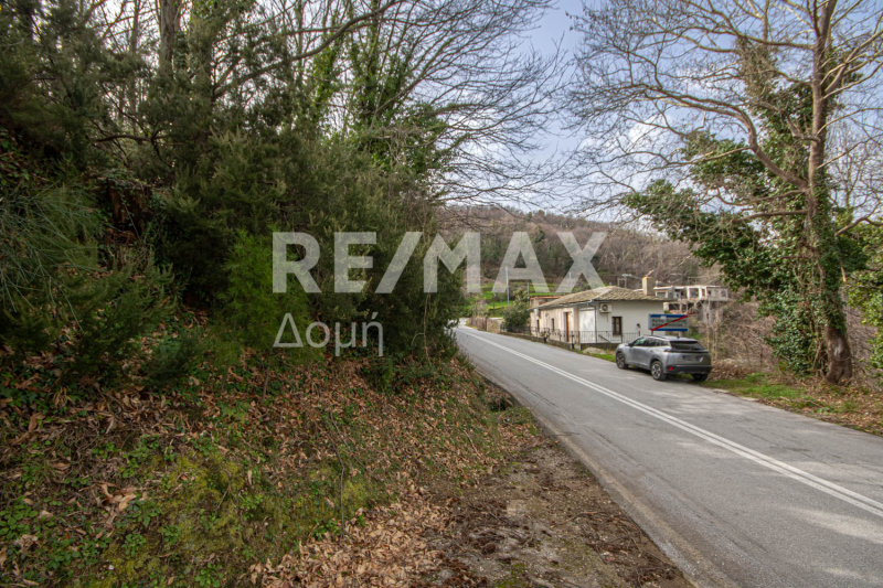 HouseFor Sale, Agios Dimitrios, Mouresi, Magnesia