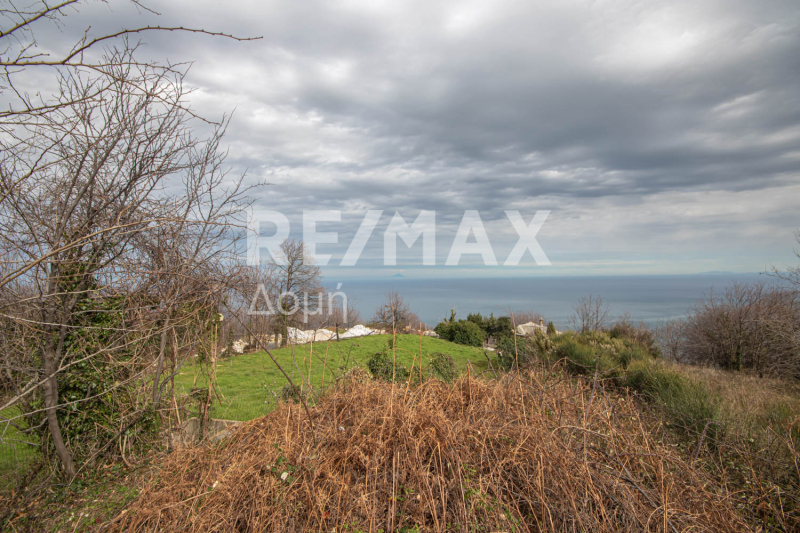 HouseFor Sale, Agios Dimitrios, Mouresi, Magnesia