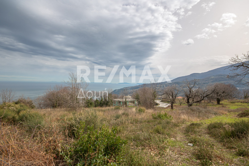 HouseFor Sale, Agios Dimitrios, Mouresi, Magnesia