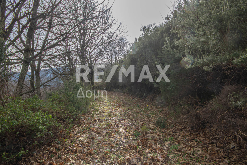 HouseFor Sale, Agios Dimitrios, Mouresi, Magnesia