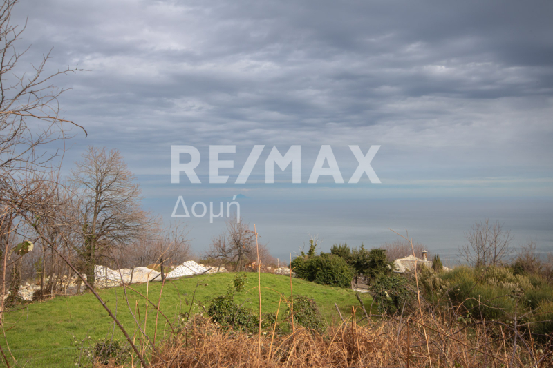 HouseFor Sale, Agios Dimitrios, Mouresi, Magnesia