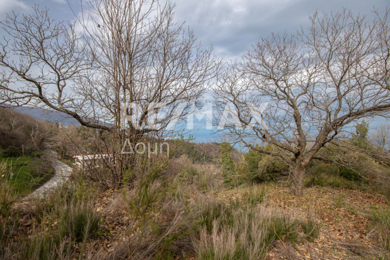 HouseFor Sale, Agios Dimitrios, Mouresi, Magnesia