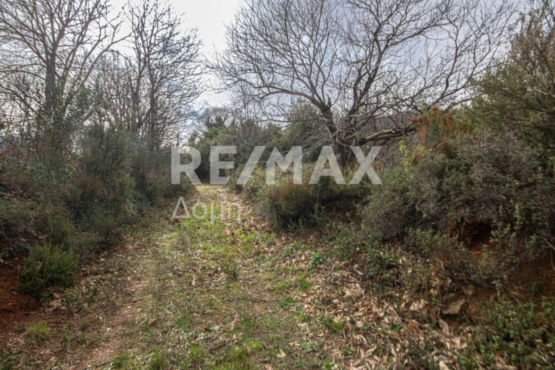 HouseFor Sale, Agios Dimitrios, Mouresi, Magnesia