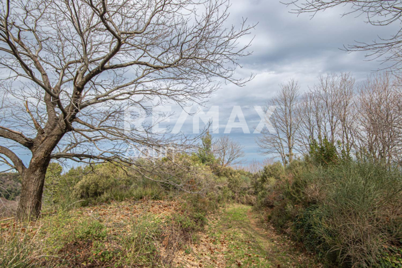 HouseFor Sale, Agios Dimitrios, Mouresi, Magnesia