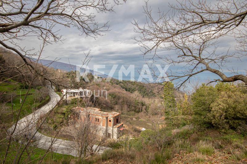 HouseFor Sale, Agios Dimitrios, Mouresi, Magnesia