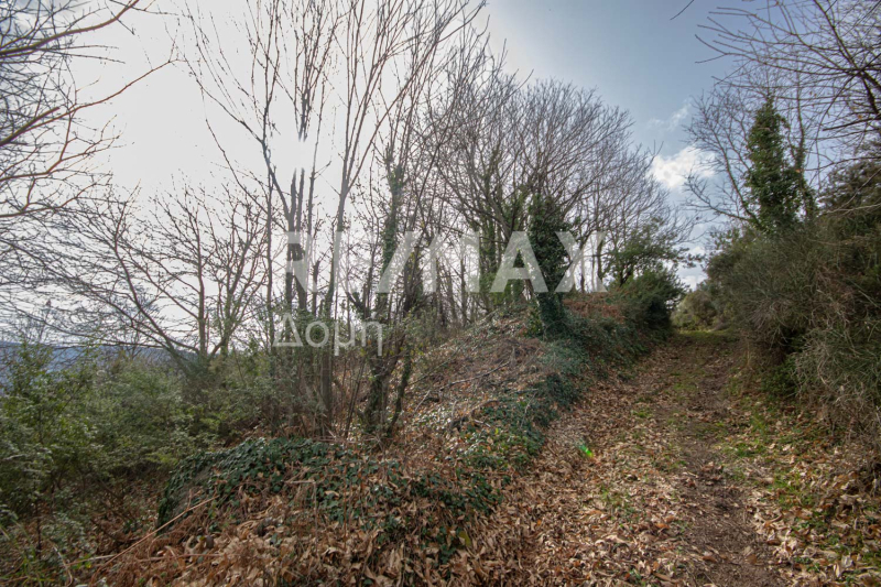 HouseFor Sale, Agios Dimitrios, Mouresi, Magnesia