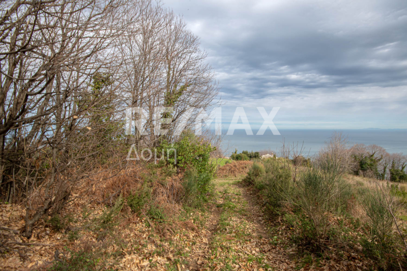 HouseFor Sale, Agios Dimitrios, Mouresi, Magnesia