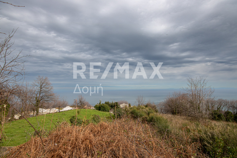 HouseFor Sale, Agios Dimitrios, Mouresi, Magnesia