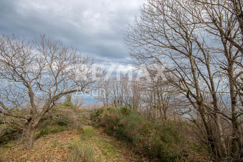 HouseFor Sale, Agios Dimitrios, Mouresi, Magnesia