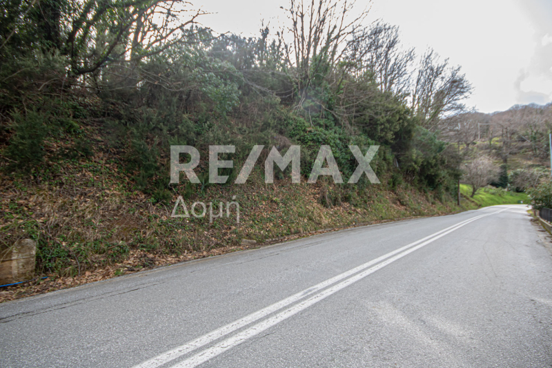 HouseFor Sale, Agios Dimitrios, Mouresi, Magnesia