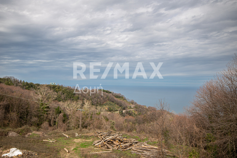 HouseFor Sale, Agios Dimitrios, Mouresi, Magnesia