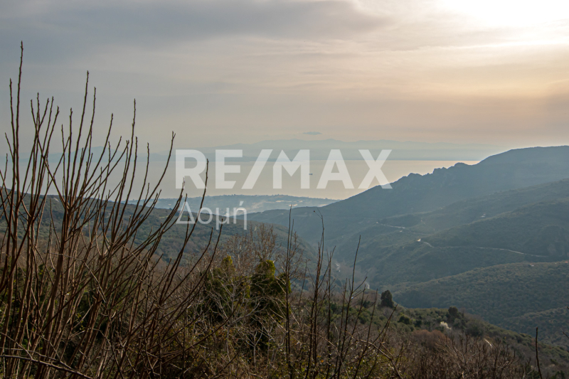 4 Bed, HouseFor Sale, Agios Lavrentios, Artemida, Magnesia