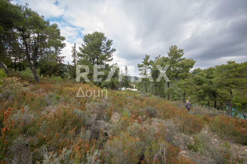 HouseFor Sale, Chrisi Milia, Alonnisos, Sporades