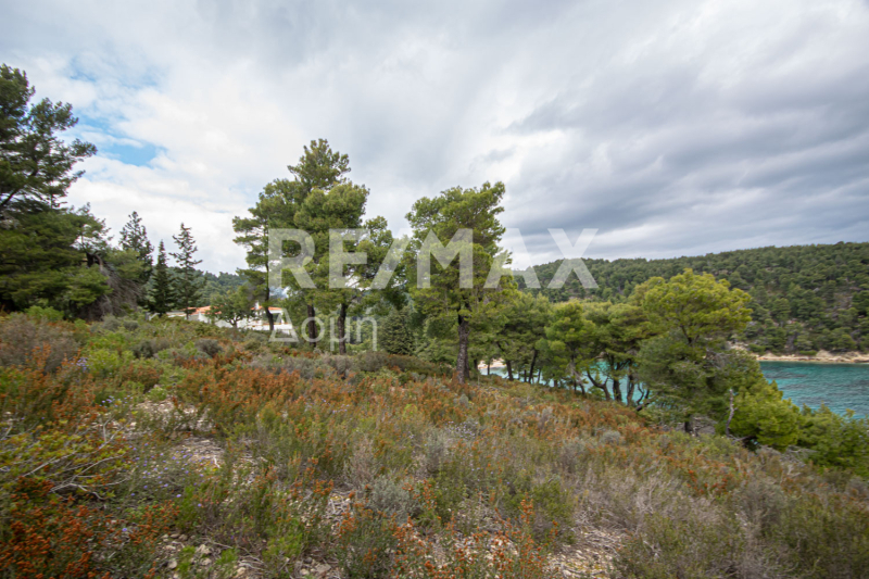 HouseFor Sale, Chrisi Milia, Alonnisos, Sporades