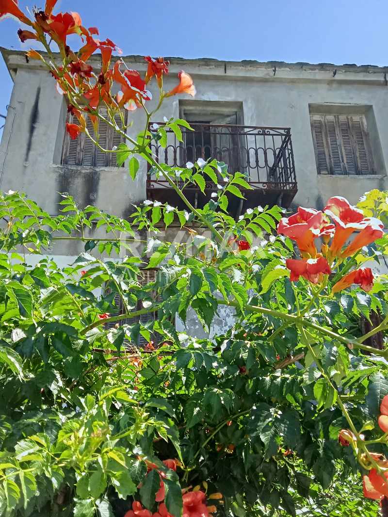 2 Bed, 1 Bath, HouseFor Sale, Agios Lavrentios, Artemida, Magnesia