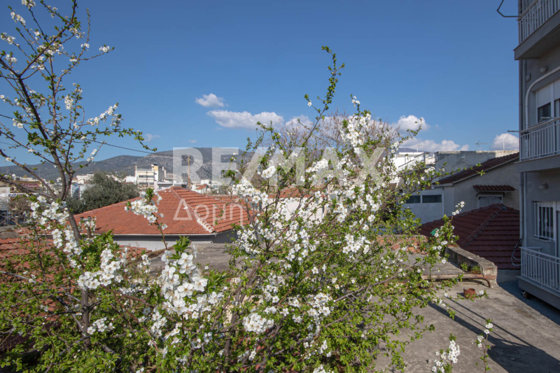 HouseFor Sale, Epta Platania, Volos, Magnesia