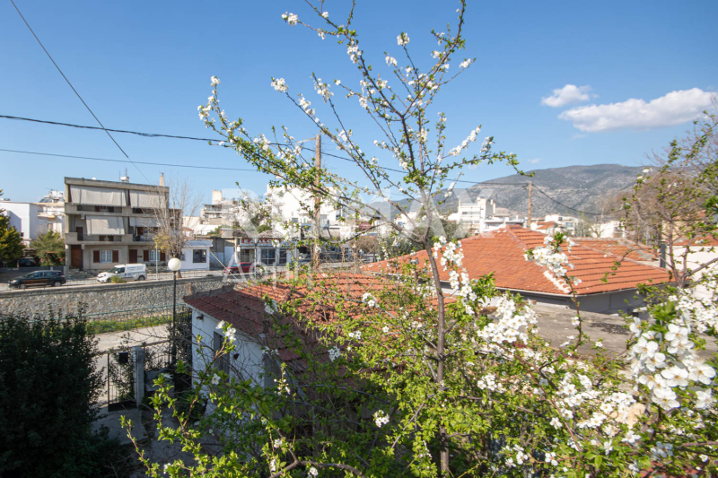 HouseFor Sale, Epta Platania, Volos, Magnesia