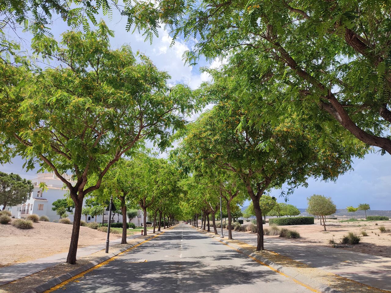 2 Bed, 2 Bath, ApartmentFor Sale, Hacienda Riqueleme, Murcia