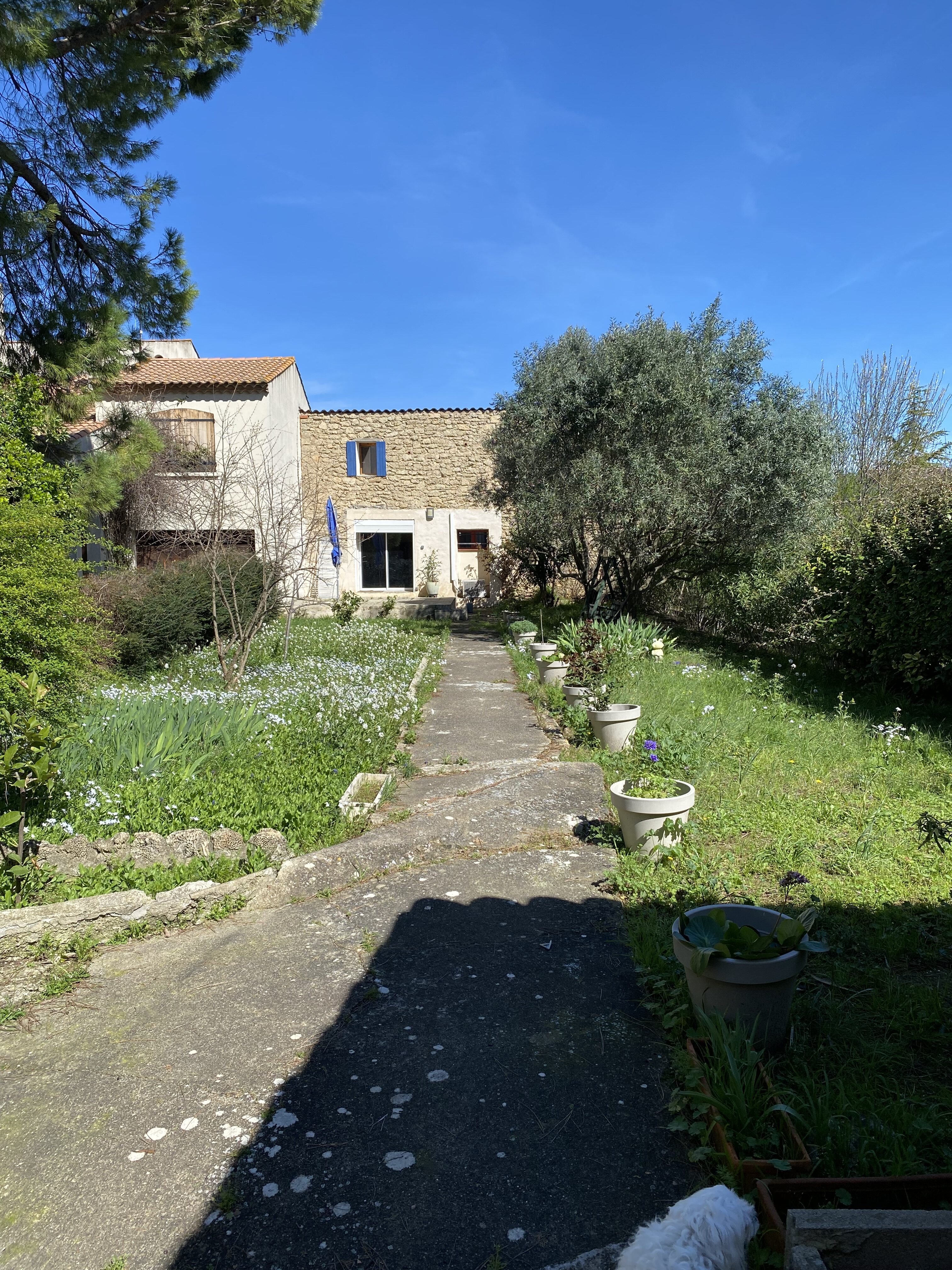 6 Bed, 3 Bath, HouseFor Sale, Laurens, Herault, Languedoc-Roussillon, 34480