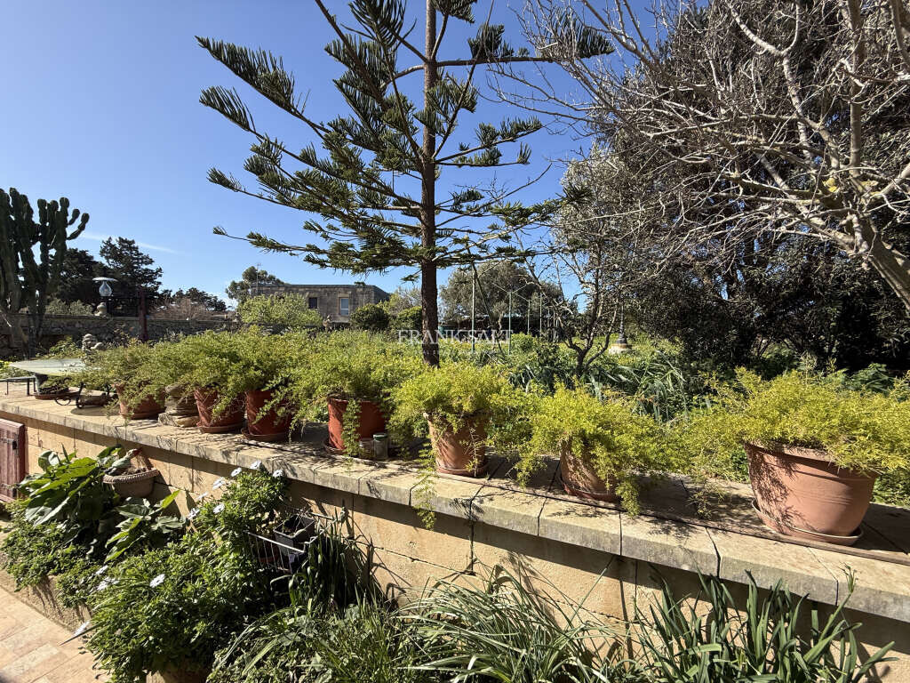 Dingli, 3 Bedrooms Bedrooms, ,2 BathroomsBathrooms,For Sale,FRSA-926563