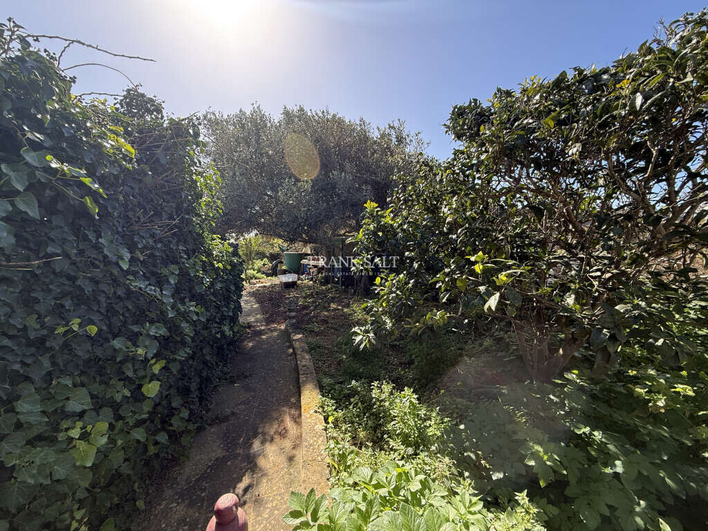 Dingli, 3 Bedrooms Bedrooms, ,2 BathroomsBathrooms,For Sale,FRSA-926563