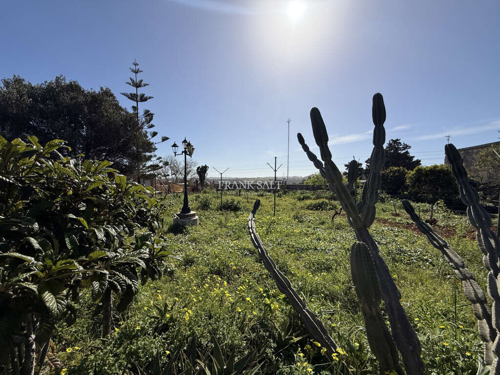 Dingli, 3 Bedrooms Bedrooms, ,2 BathroomsBathrooms,For Sale,FRSA-926563