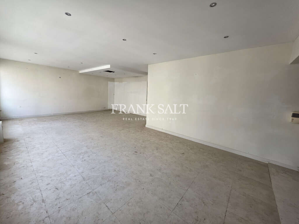 Sliema, 4 Bedrooms Bedrooms, ,3 BathroomsBathrooms,For Sale,FRSA-926125