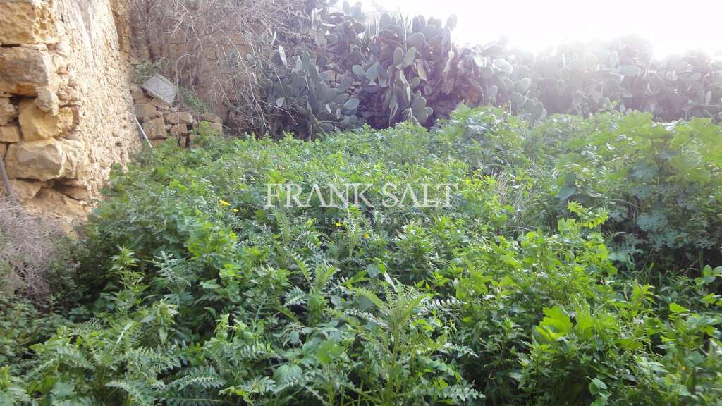 Victoria, Gozo, 4 Bedrooms Bedrooms, ,1 BathroomBathrooms,For Sale,FRSA-925109