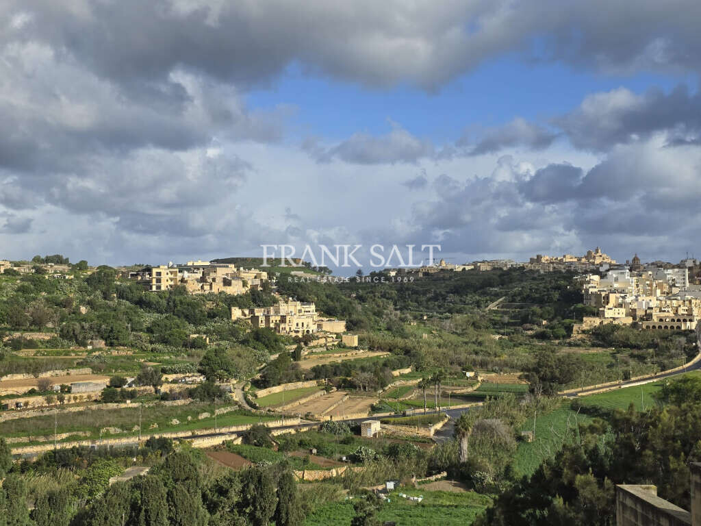 Munxar, Gozo, 3 Bedrooms Bedrooms, ,1 BathroomBathrooms,For Sale,FRSA-925252