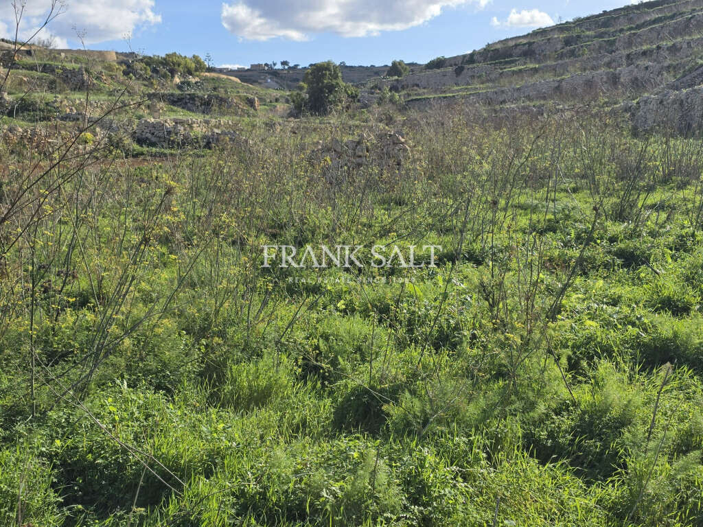 Xlendi, Gozo, ,For Sale,FRSA-924608