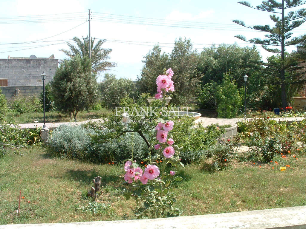 Birzebbugia, 5 Bedrooms Bedrooms, ,4 BathroomsBathrooms,For Sale,FRSA-923631