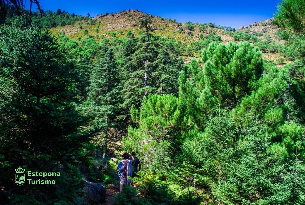 3 Bed, 2 Bath, ApartmentFor Sale, Estepona, Malaga