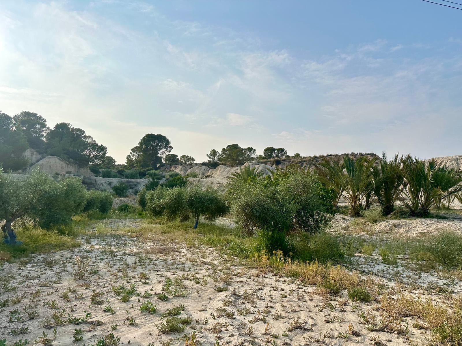 5 Bed, 3 Bath, HouseFor Sale, Abanilla, Murcia