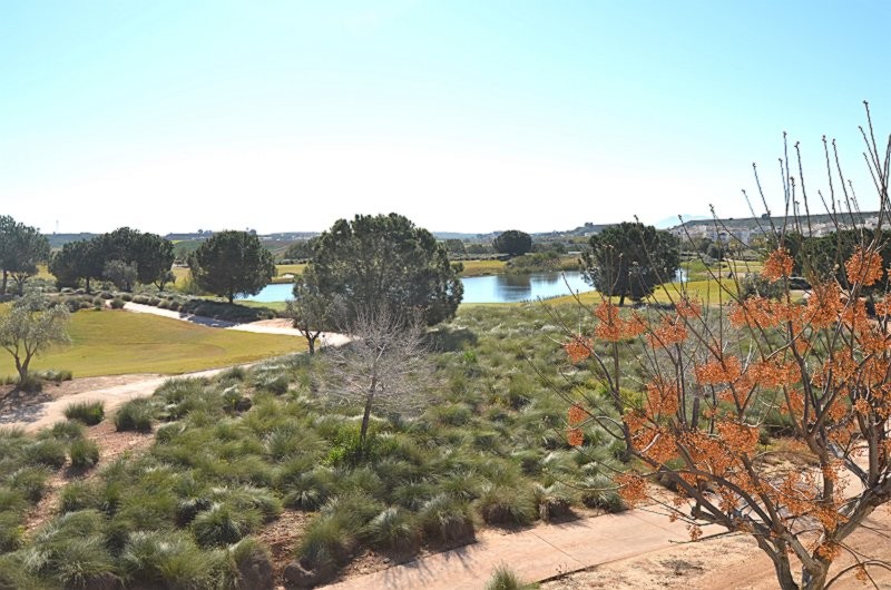 2 Bed, 2 Bath, ApartmentFor Sale, Hacienda Riquelme Golf Resort, Murcia