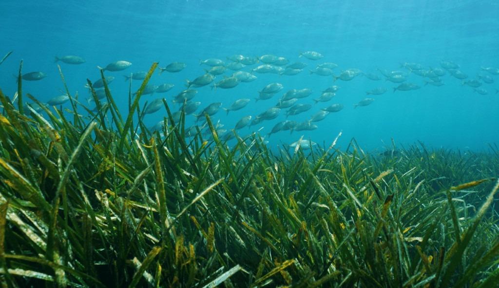 4 Bed, 5 Bath, HouseFor Sale, Benissa, Alicante