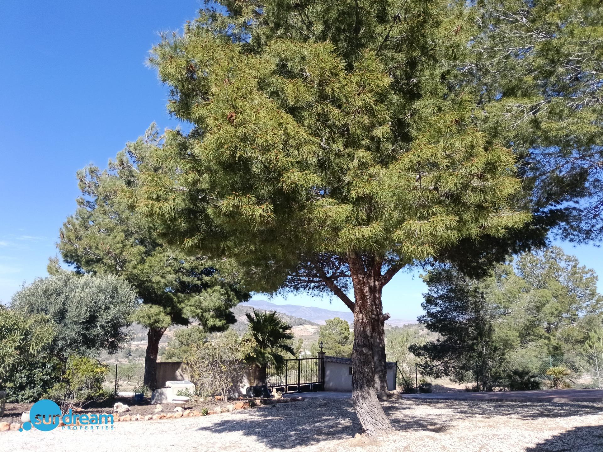 4 Bed, 2 Bath, HouseFor Sale, Abanilla, Murcia