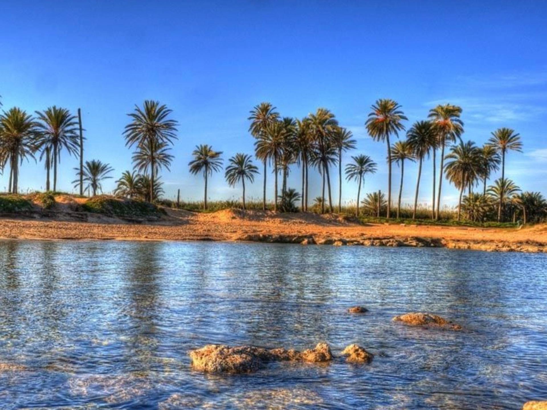 3 Bed, 2 Bath, ApartmentFor Sale, Torrevieja, Alicante