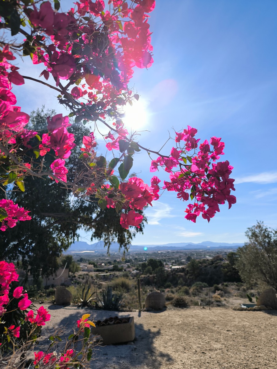 5 Bed, 1 Bath, HouseFor Sale, Fortuna, Murcia