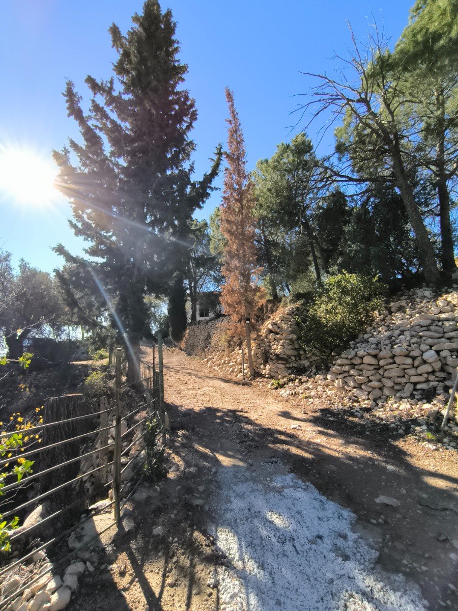 5 Bed, 1 Bath, HouseFor Sale, Fortuna, Murcia